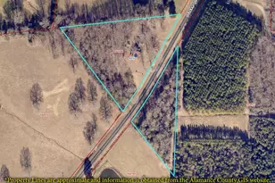 8375 Sylvan Rd, Liberty, NC 27298 - Photo 40