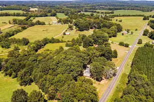 8375 Sylvan Rd, Liberty, NC 27298 - Photo 46
