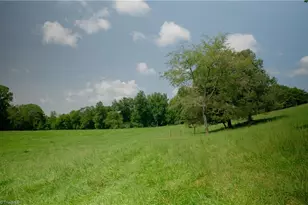 3505 Nc Hwy 66 S, Westfield, NC 27053 - Photo 22