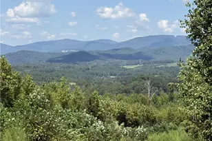 Off Bauguess Mill Rd, Traphill, NC 28685 - Photo 1