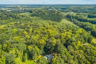 1709 Beechwood Rd, Yadkinville, NC 27055 - Photo 46