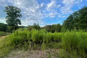 325 Ellas Ln, Roaring River, NC 28669 - Photo 26