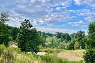325 Ellas Ln, Roaring River, NC 28669 - Photo 4