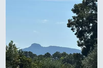 150 Springfield Road, Pilot Mountain, NC 27041 - Photo 6