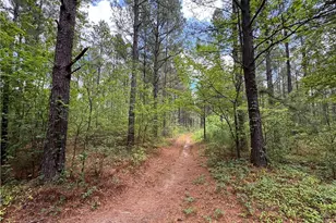 1215 Sherron Rd, Durham, NC 27703 - Photo 14
