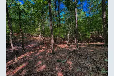 784 Palisade Trail, Denton, NC 27239 - Photo 12