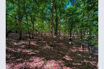 784 Palisade Trail, Denton, NC 27239 - Photo 10