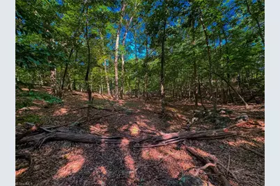 784 Palisade Trail, Denton, NC 27239 - Photo 14