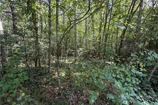Lots 20 & 21 Zinzendorf Ln, Moravian Falls, NC 28654 - Photo 1