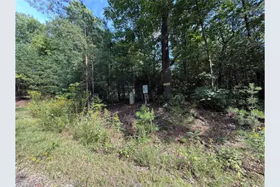 Lot 24 Wolf Pen Road, Purlear, NC 28665 - Photo 2