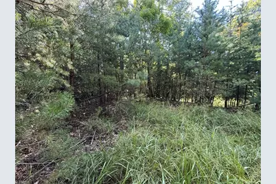 Lot 24 Wolf Pen Road, Purlear, NC 28665 - Photo 8