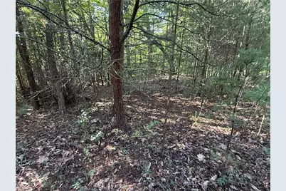 Lot 24 Wolf Pen Road, Purlear, NC 28665 - Photo 12