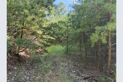 Lot 24 Wolf Pen Road, Purlear, NC 28665 - Photo 4
