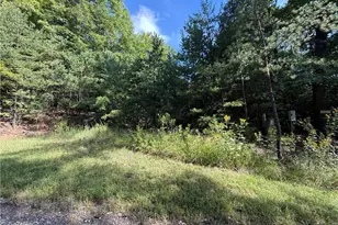 Lot 24 Wolf Pen Rd, Purlear, NC 28665 - Photo 1
