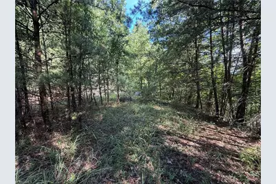 Lot 24 Wolf Pen Road, Purlear, NC 28665 - Photo 14