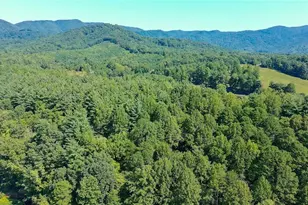 650 Carson Creek Rd, Lowgap, NC 27024 - Photo 42