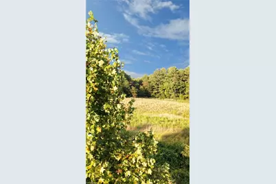 0 Johnson Ridge Road, Elkin, NC 28621 - Photo 10