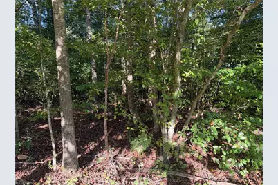Lot 29 Cabin Cove Lane, Moravian Falls, NC 28654 - Photo 6