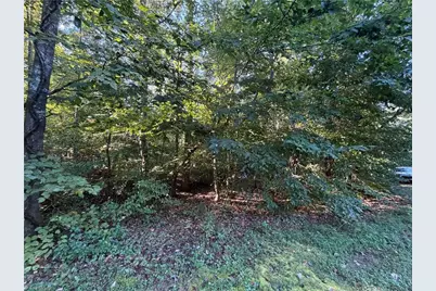 Lot 29 Cabin Cove Lane, Moravian Falls, NC 28654 - Photo 4