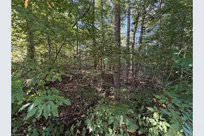 Lot 29 Cabin Cove Lane, Moravian Falls, NC 28654 - Photo 12