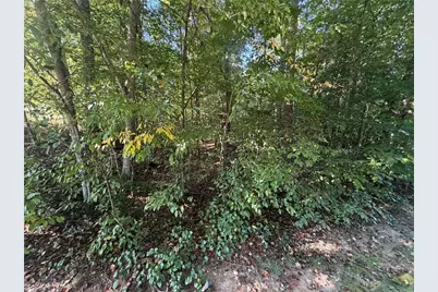 Lot 29 Cabin Cove Lane, Moravian Falls, NC 28654 - Photo 8