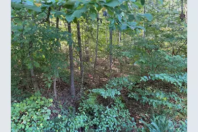 Lot 29 Cabin Cove Lane, Moravian Falls, NC 28654 - Photo 14