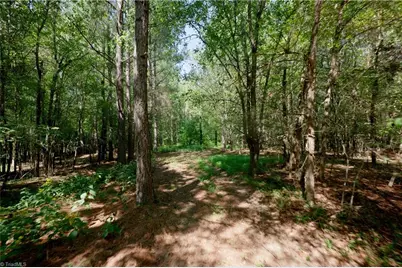 3053 Nc Highway 62 E, Julian, NC 27298 - Photo 26