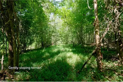 3053 Nc Highway 62 E, Julian, NC 27298 - Photo 10