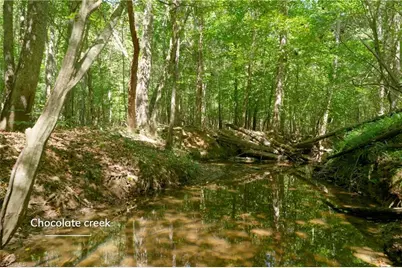 3053 Nc Highway 62 E, Julian, NC 27298 - Photo 20