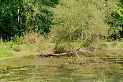 3053 Nc Highway 62 E, Julian, NC 27298 - Photo 16