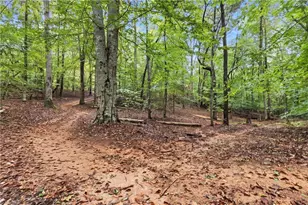 2233 Vienna Dozier Rd, Pfafftown, NC 27040 - Photo 48