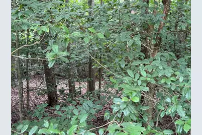 Lot 22 Zinzendorf Lane, Moravian Falls, NC 28654 - Photo 2