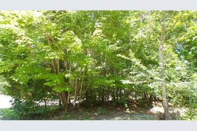 2581 Carl Allred Road, Franklinville, NC 27248 - Photo 32