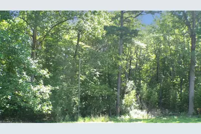 2581 Carl Allred Road, Franklinville, NC 27248 - Photo 30