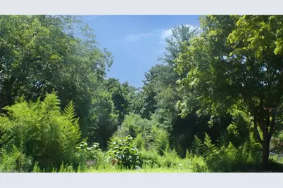 2581 Carl Allred Road, Franklinville, NC 27248 - Photo 8