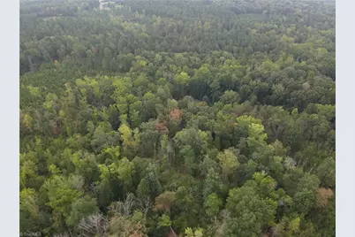 550 Van Buren Road, Stoneville, NC 27048 - Photo 4