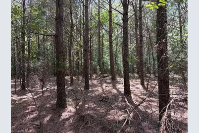 00 Bear Creek Church Road, Mocksville, NC 27028 - Photo 10