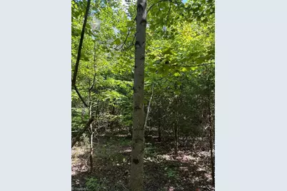 00 Bear Creek Church Road, Mocksville, NC 27028 - Photo 12