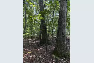 00 Bear Creek Church Road, Mocksville, NC 27028 - Photo 8