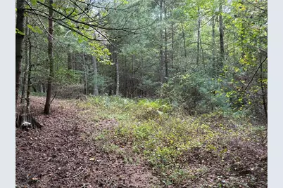 0 Little Mountain Church Road, North Wilkesboro, NC 28659 - Photo 8