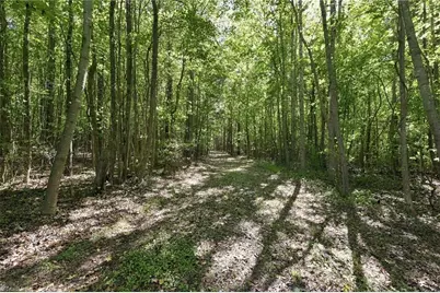 4416 McConnell Road, McLeansville, NC 27301 - Photo 6