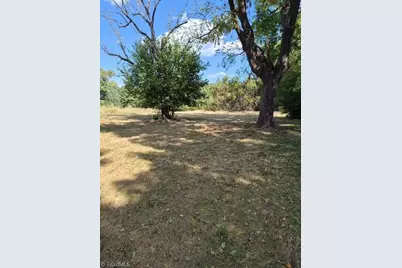 2227 Lick Fork Creek Road, Ruffin, NC 27326 - Photo 6
