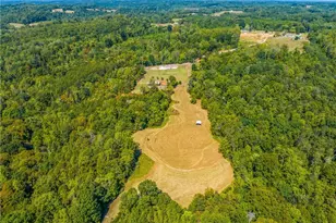 3280 Snow Hill Church Road, Lawsonville, NC 27022 - Photo 48