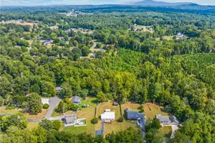 267 Pine Ridge Trail, Pinnacle, NC 27043 - Photo 34