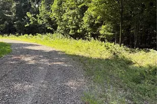 Lot 4 Falcon Ridge Dr, Moravian Falls, NC 28654 - Photo 1