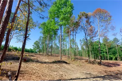 0 Carson Road, Cleveland, NC 27013 - Photo 8
