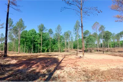 0 Carson Road, Cleveland, NC 27013 - Photo 4