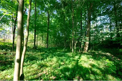 0 Carson Road, Cleveland, NC 27013 - Photo 6