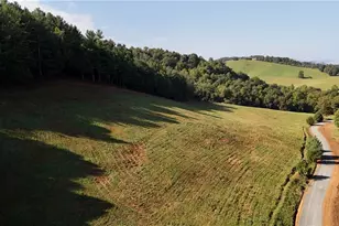 00 Lot 4 New Hope Church Rd, Laurel Springs, NC 28644 - Photo 1