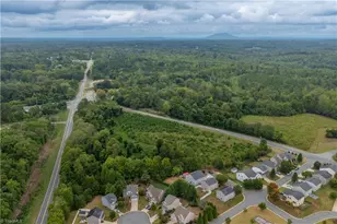 6009 Accord Ct, Pfafftown, NC 27040 - Photo 38